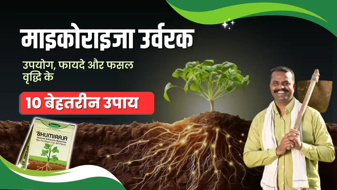 Uses and Benefits of Mycorrhiza Fertilizer