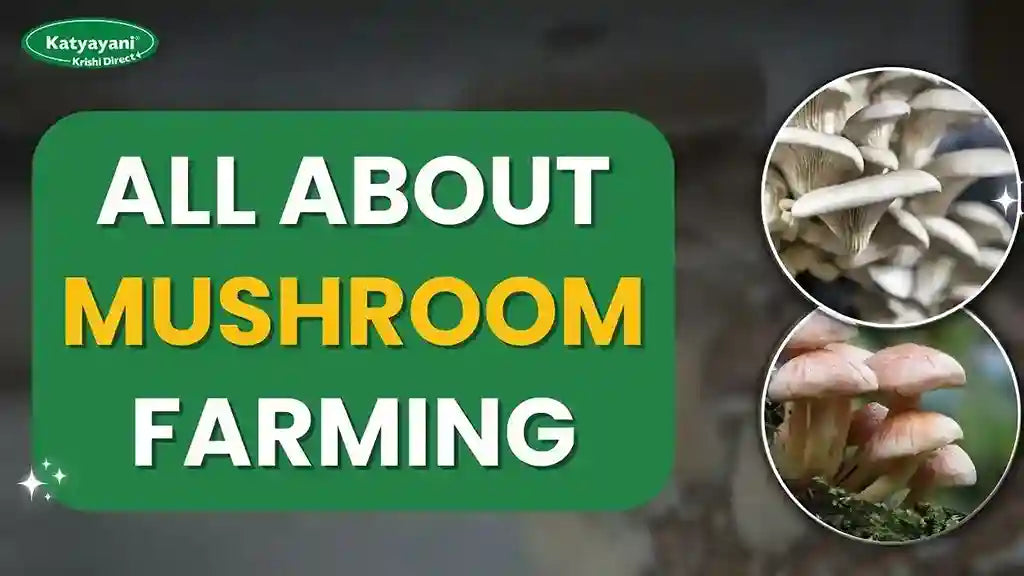 Top 10 Mushroom Farming Tips | Cultivation Guide
