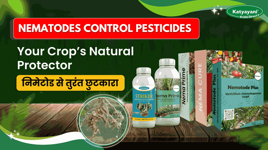 Nematode Control in India: Top Products & Complete Solution
