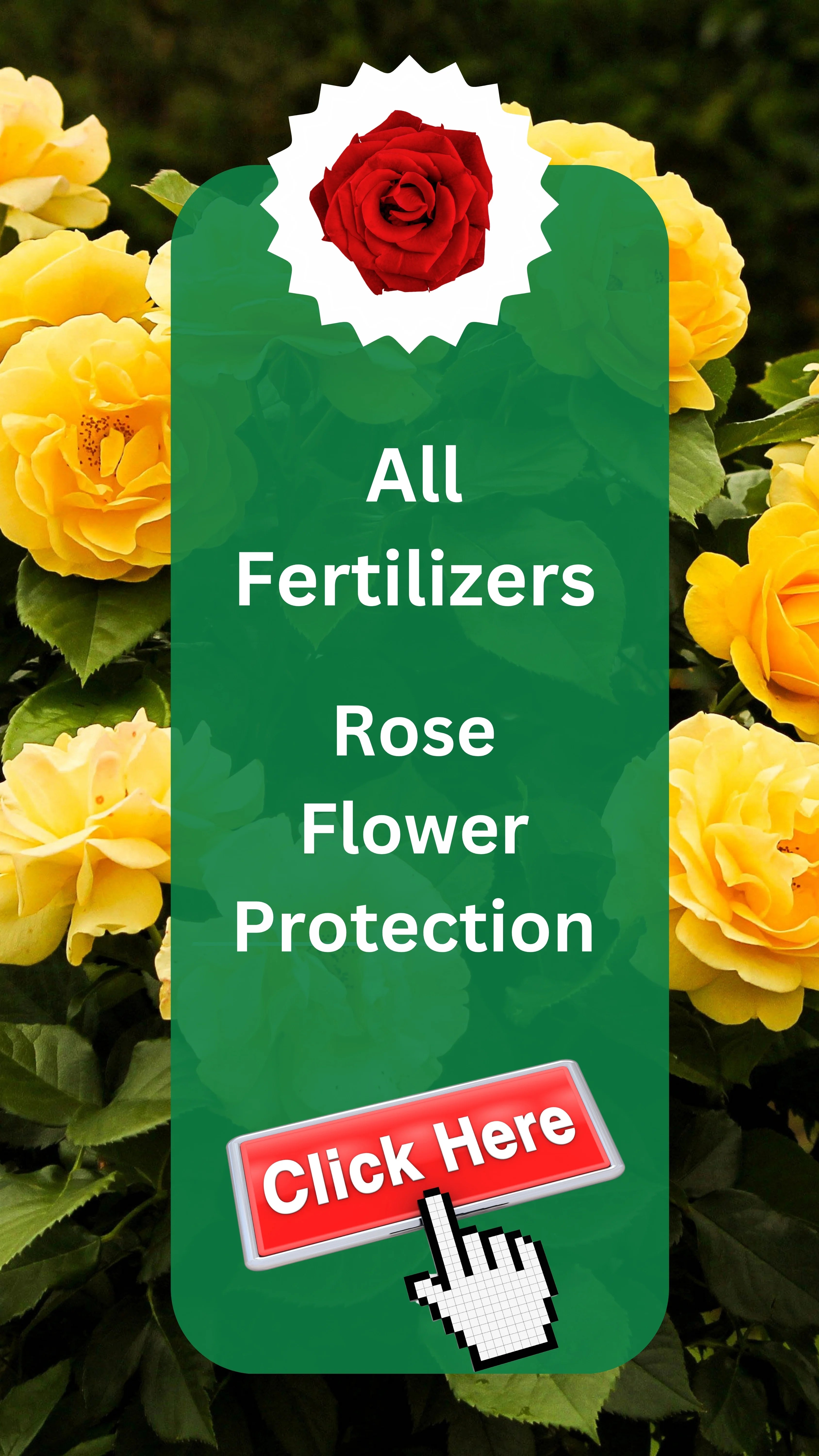 Buy Rose Mix Fertilizer | Organic & Chemical Solutions | Cod
