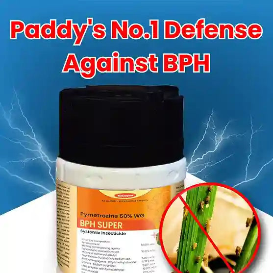 bph control insecticide