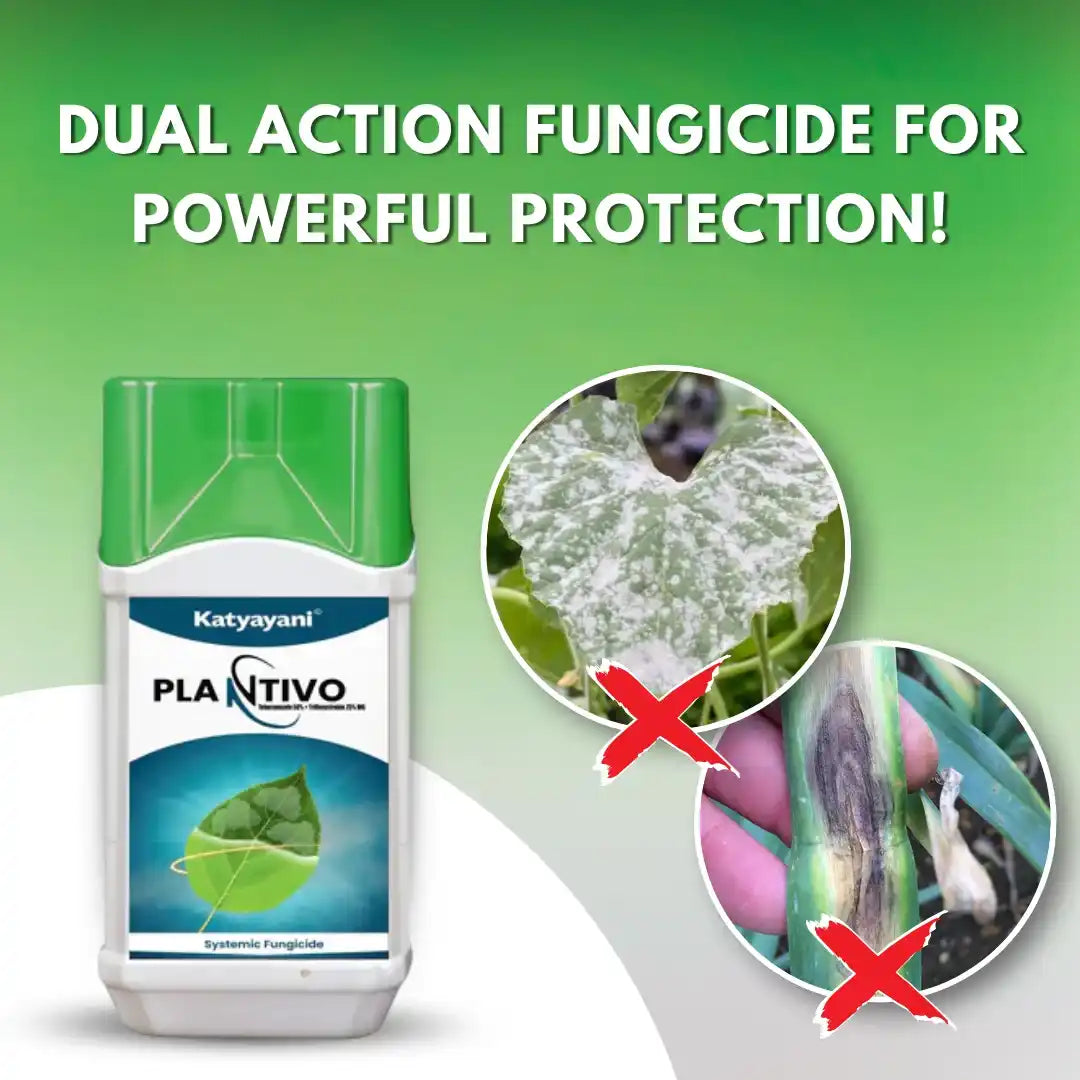 Tebuconazole 50% + Trifloxystrobin 25% WG. Broad Spectrum Systemic Fungicide