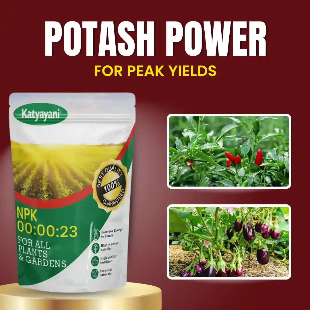 KATYAYANI NPK 00 00 23 FERTILIZER (POTASSIUM SCHOENITE FERTILIZER)