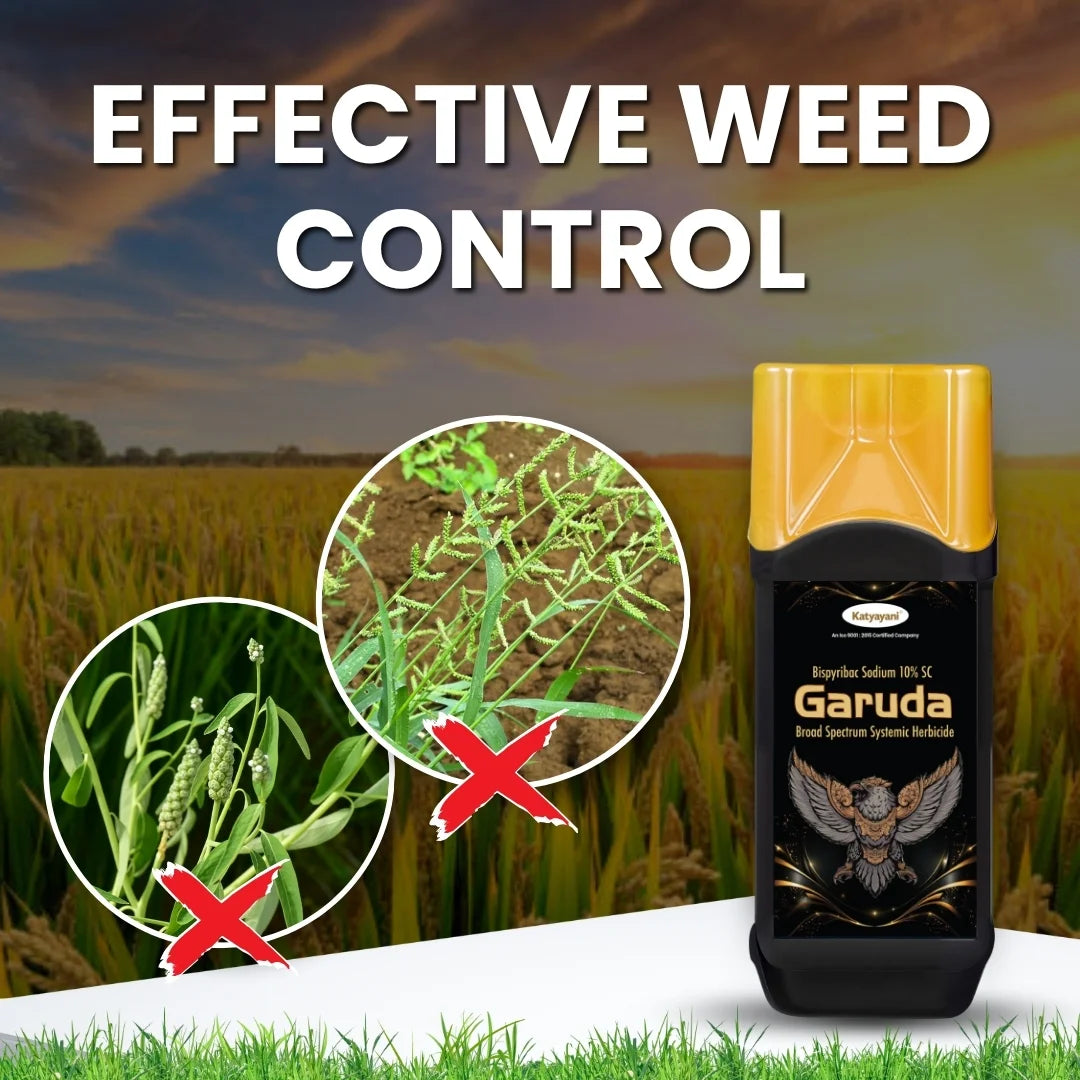Garuda Bispyribac Sodium 10 % SC Broad Spectrum Systemic Herbicide