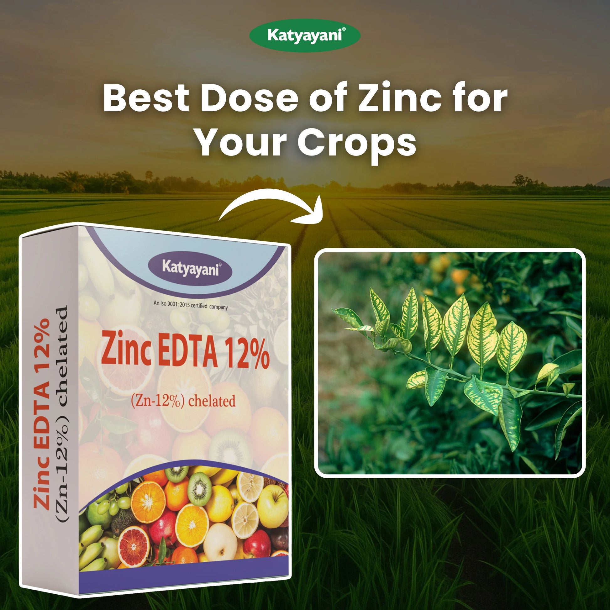 Katyayani Zinc EDTA 12% Fertilizer | Soil Activator and Fertilizer for Crops