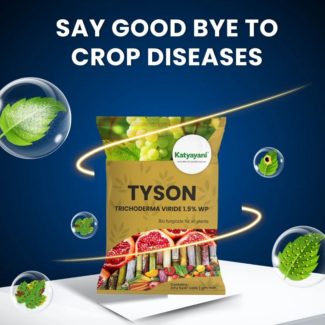 Katyayani Tyson | Trichoderma Viride 1.5% WP | Bio Fungicide Powder for Root Rot, Plant Roots, and Soil Protection
