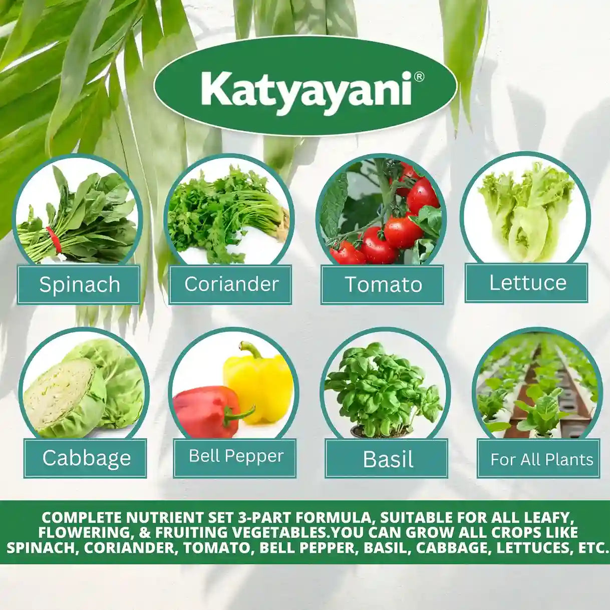 Hydroponics All in One Combo Katyayani Organics