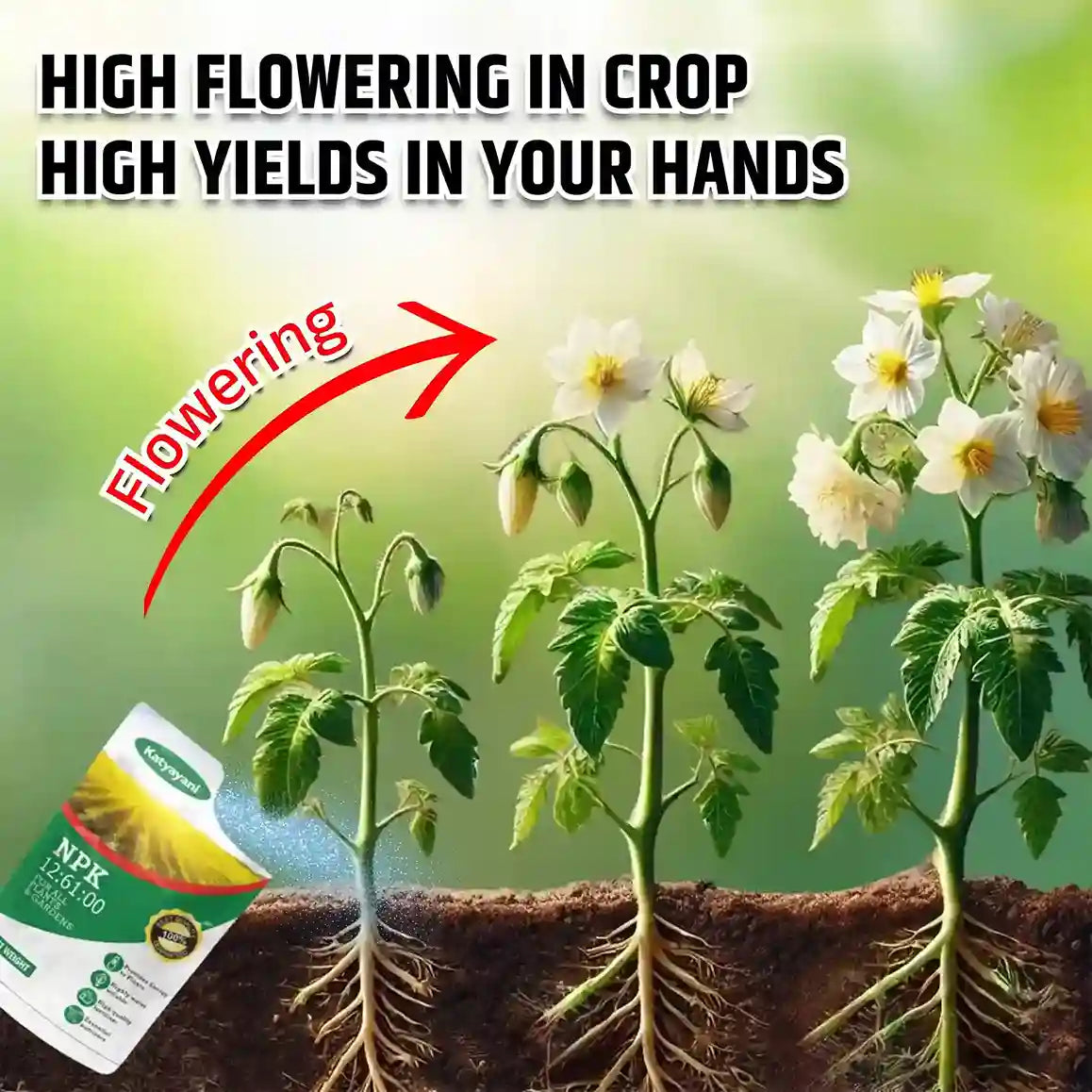 Katyayani Npk 12 61 00 Fertilizer