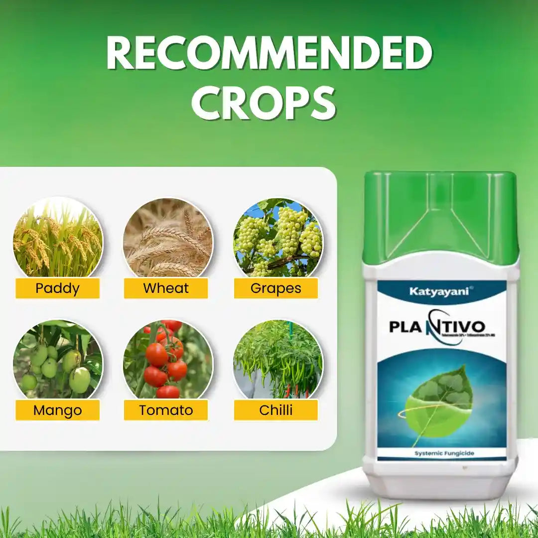 Plantivo fungicide for various crops