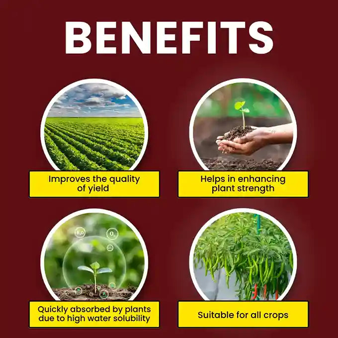 KATYAYANI NPK 00 00 23 FERTILIZER (POTASSIUM SCHOENITE FERTILIZER)