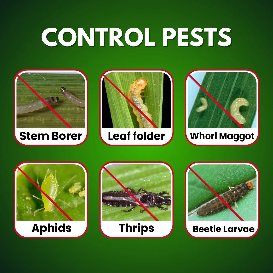 CARTAP HYDROCHLORIDE 4% GR