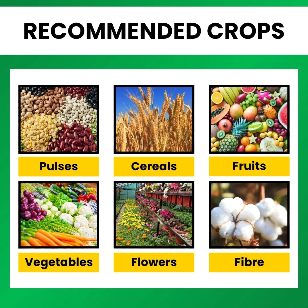 Katyayani zinc sulphate monohydrate for crops