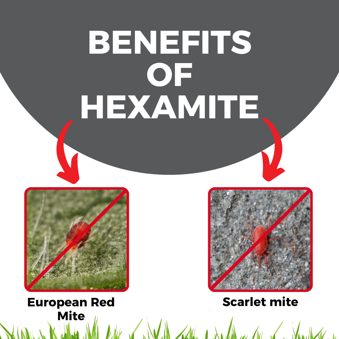 Katyayani Hexamite | Hexythiazox 5.45% EC | Chemical Insecticide