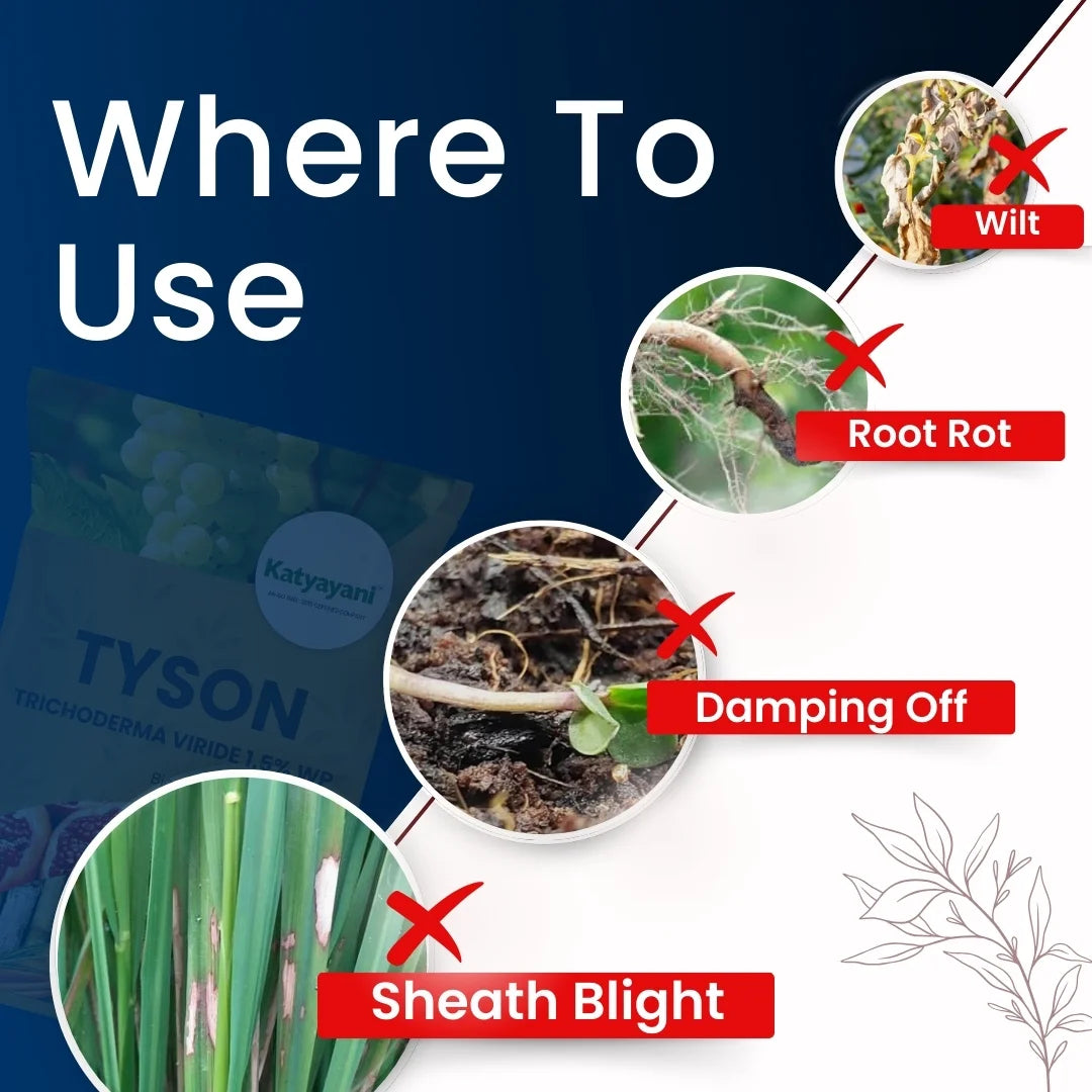 Katyayani Tyson | Trichoderma Viride 1.5% WP | Bio Fungicide Powder for Root Rot, Plant Roots, and Soil Protection