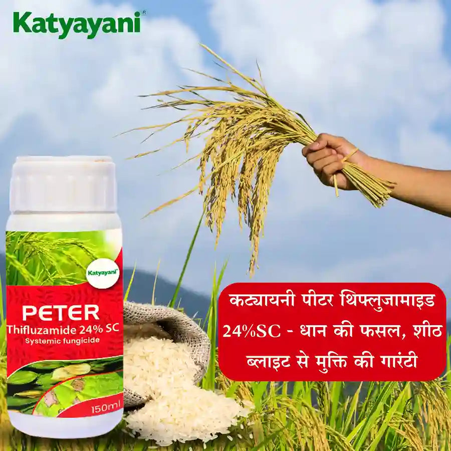 Katyayani Peter Thifluzamide 24%SC