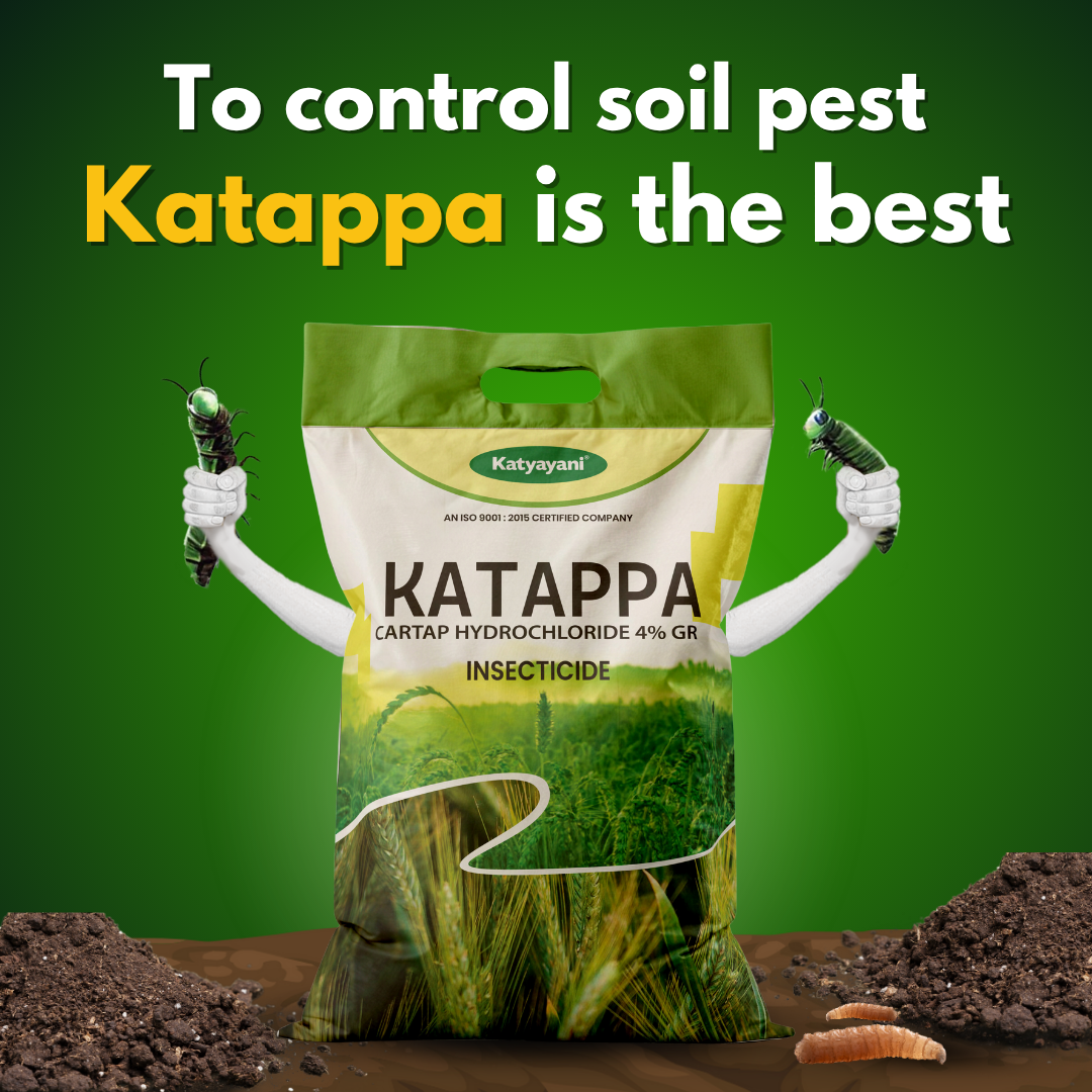 KATYAYANI KATAPPA | CARTAP HYDROCHLORIDE 4% GR | CHEMICAL INSECTICIDE