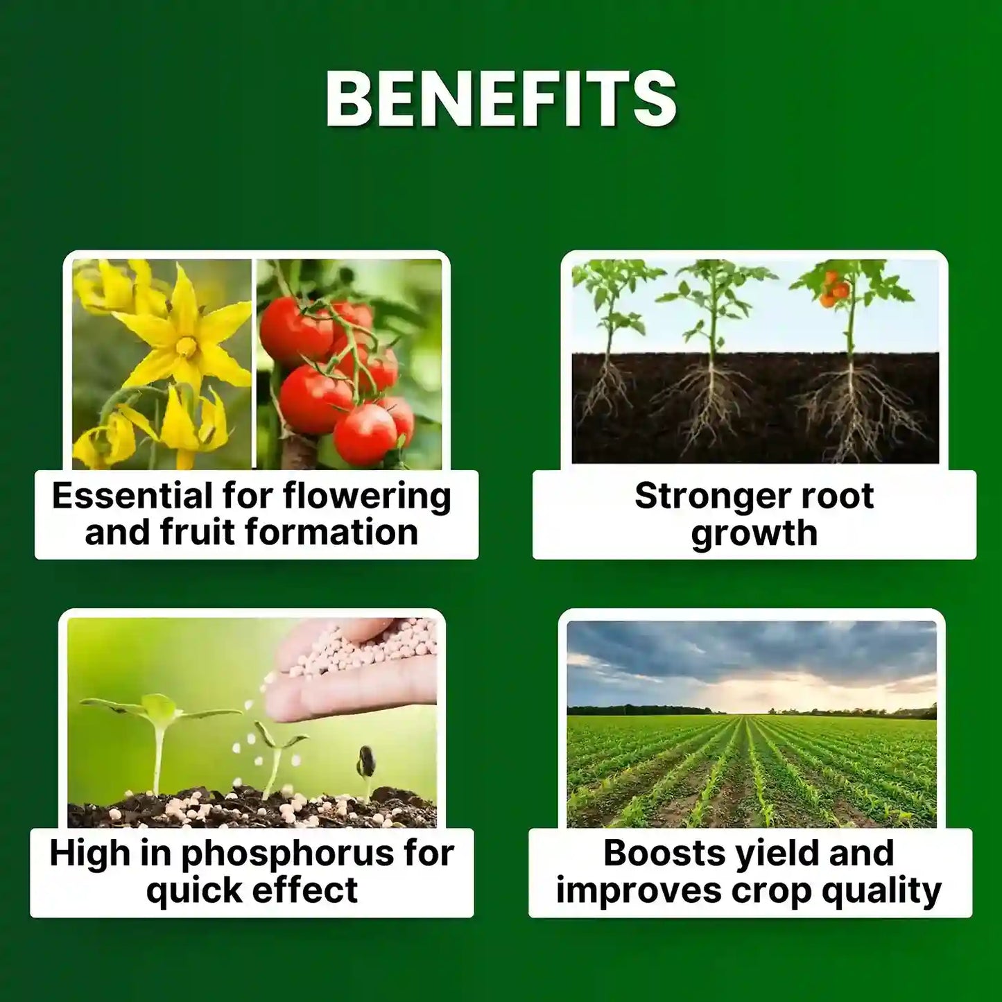 npk 12 61 00 for plants