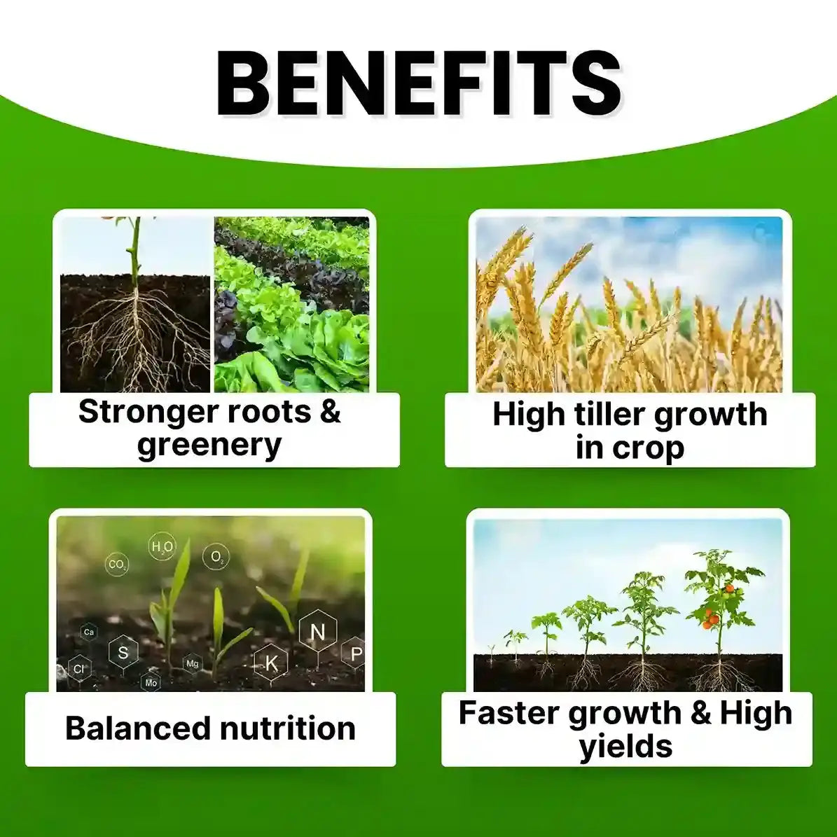 NPK 19 19 19 for plants