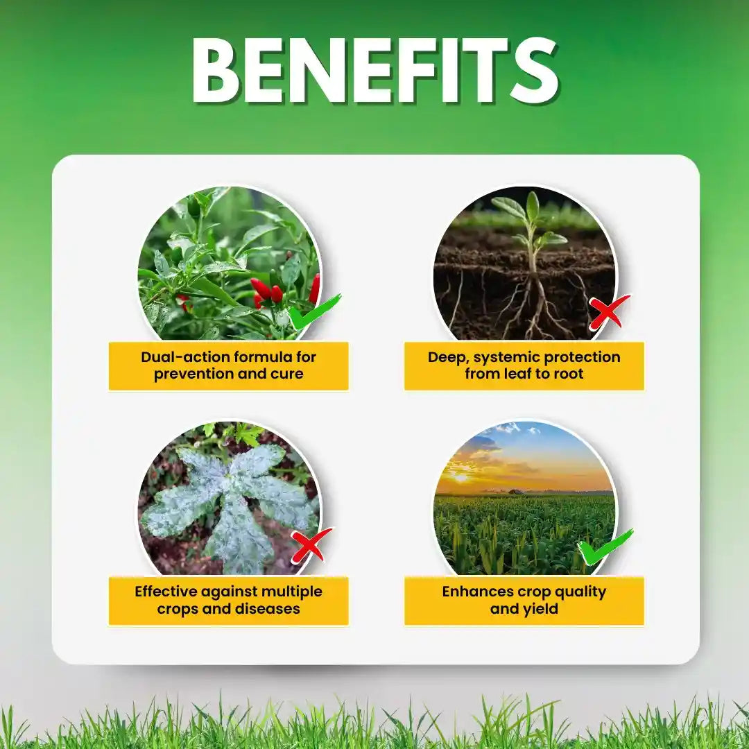 Tebuconazole 50% + Trifloxystrobin 25% WG (75 WG) Fungicide, Used To Control Various Fungal Diseases On Different Crops