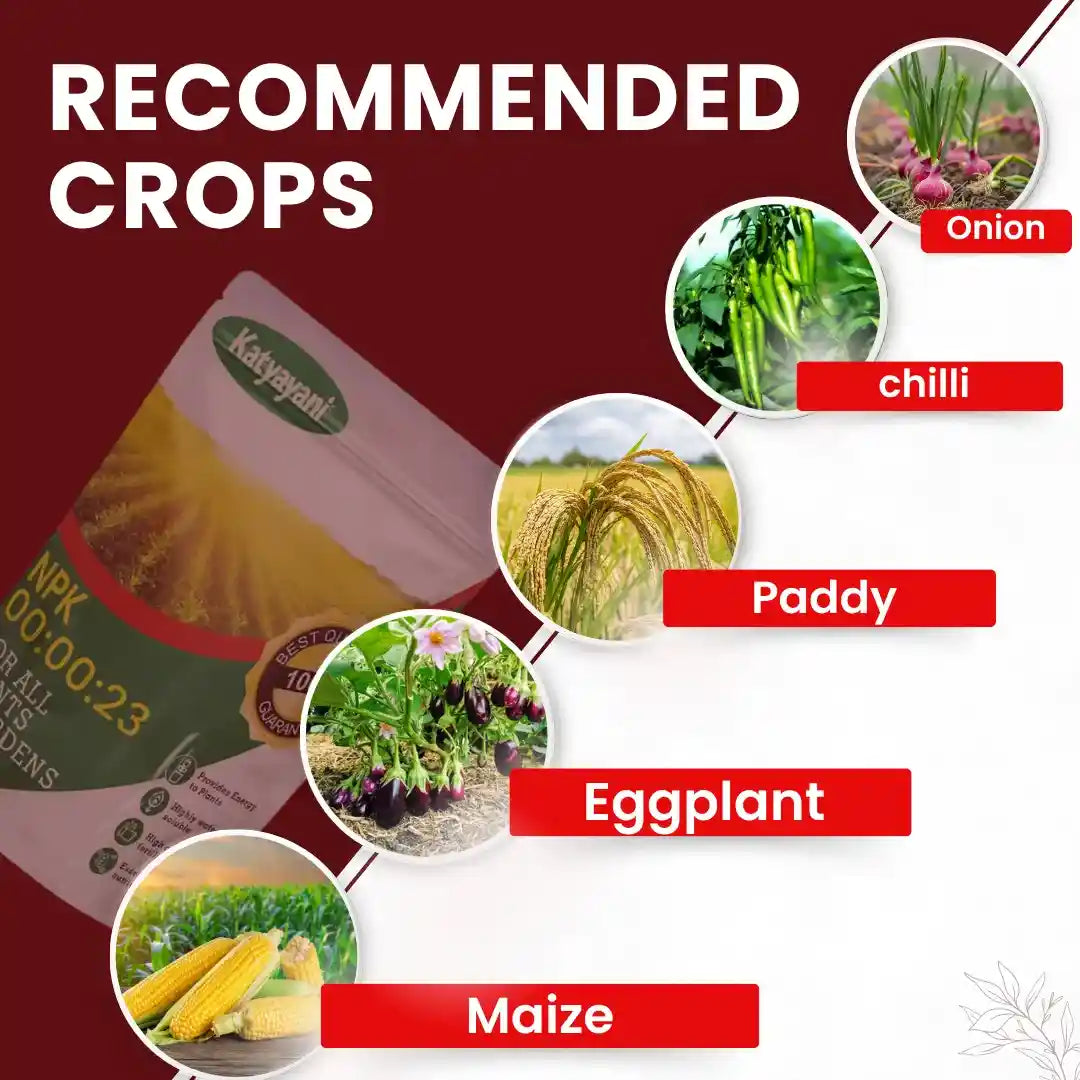 KATYAYANI NPK 00 00 23 FERTILIZER (POTASSIUM SCHOENITE FERTILIZER)