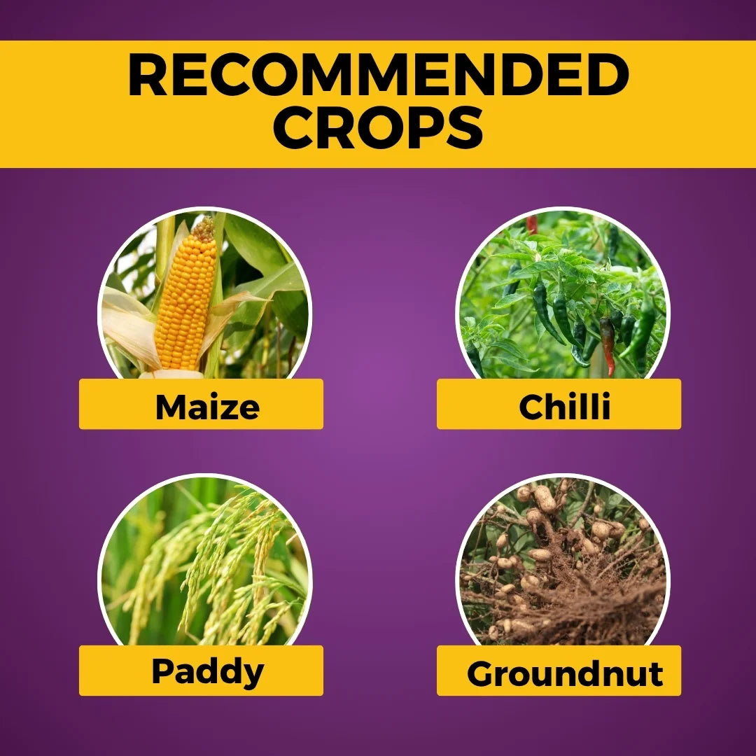 katyayani Azoxystrobin 18.2% + Difenoconazole 11.4% SC used for crops