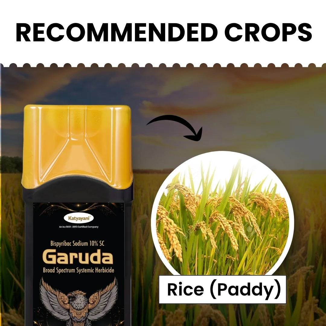 Bispyribac Sodium 10 % SC for paddy