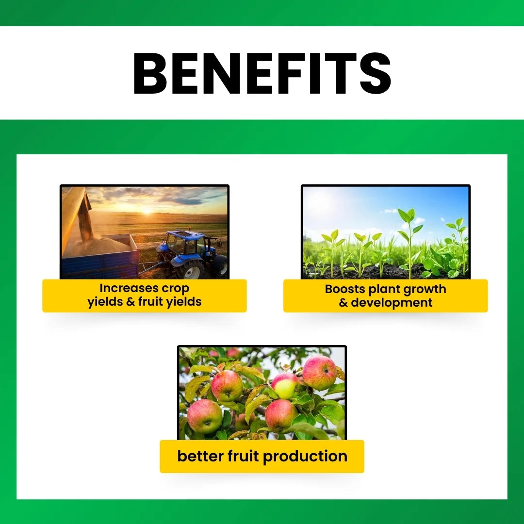Benefits of katyayani zinc sulphate fertilizer