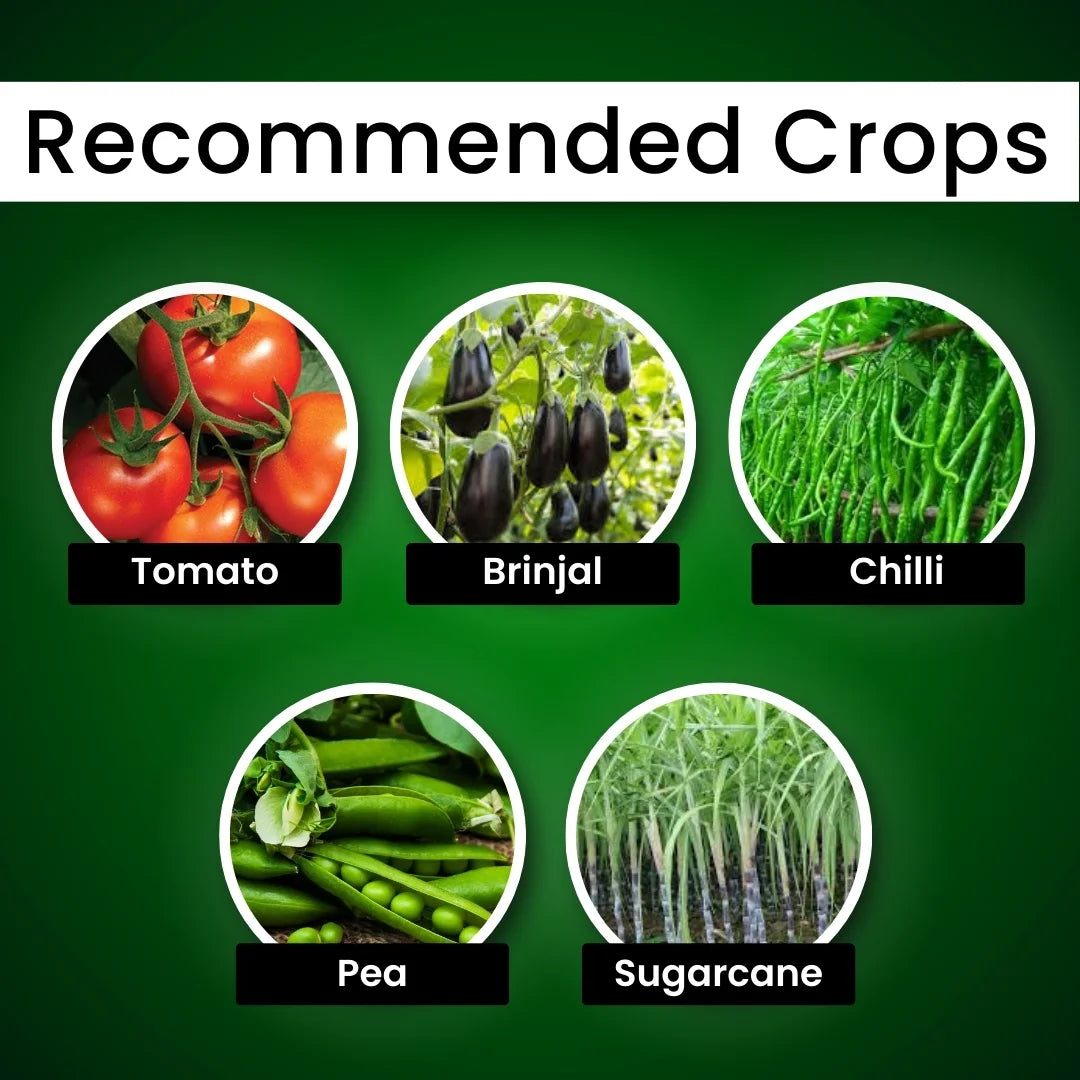 Katyayani Meta Power | Metarhizium Anisopliae | Liquid Bio Insecticide