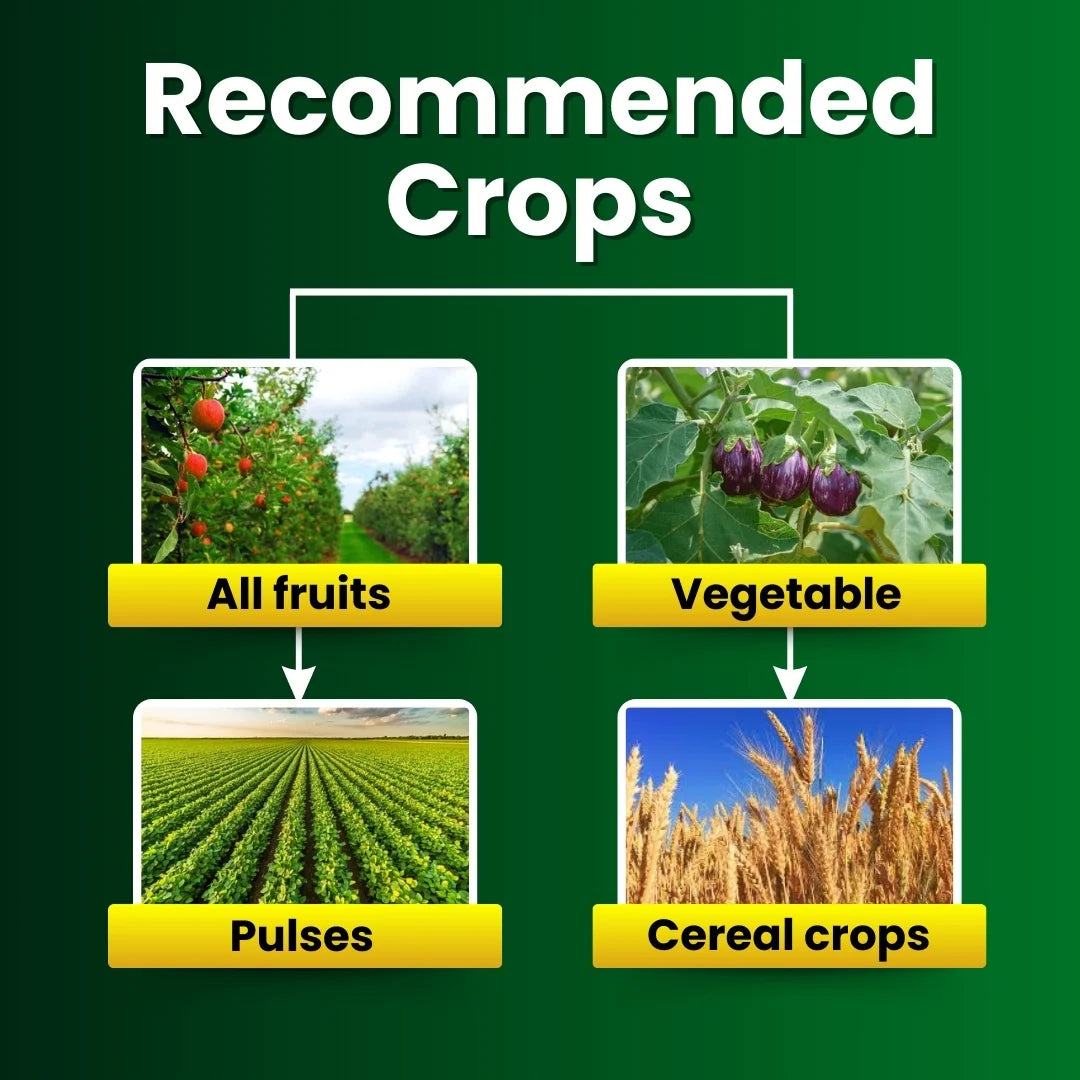 KATYAYANI TRIPLE ATTACK POWDER | VERTICILLIUM LECANII + BEAUVERIA BASSIANA + METARHIZIUM ANISOPLIAE | BIO PESTICIDE
