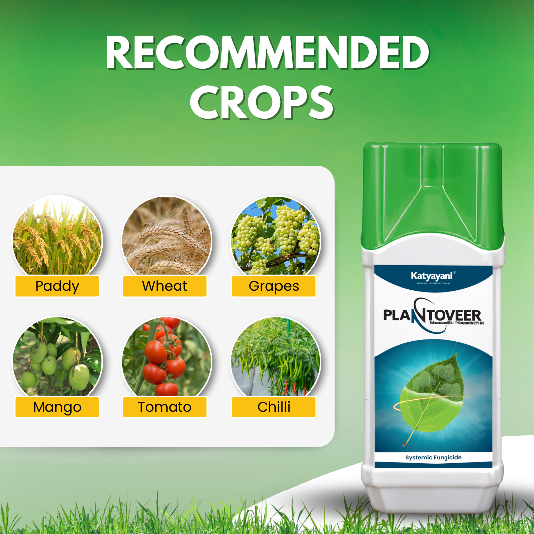 Katyayani PlantoVeer – Tebuconazole 50% + Trifloxystrobin 25% WG Dual-Action Systemic Fungicide