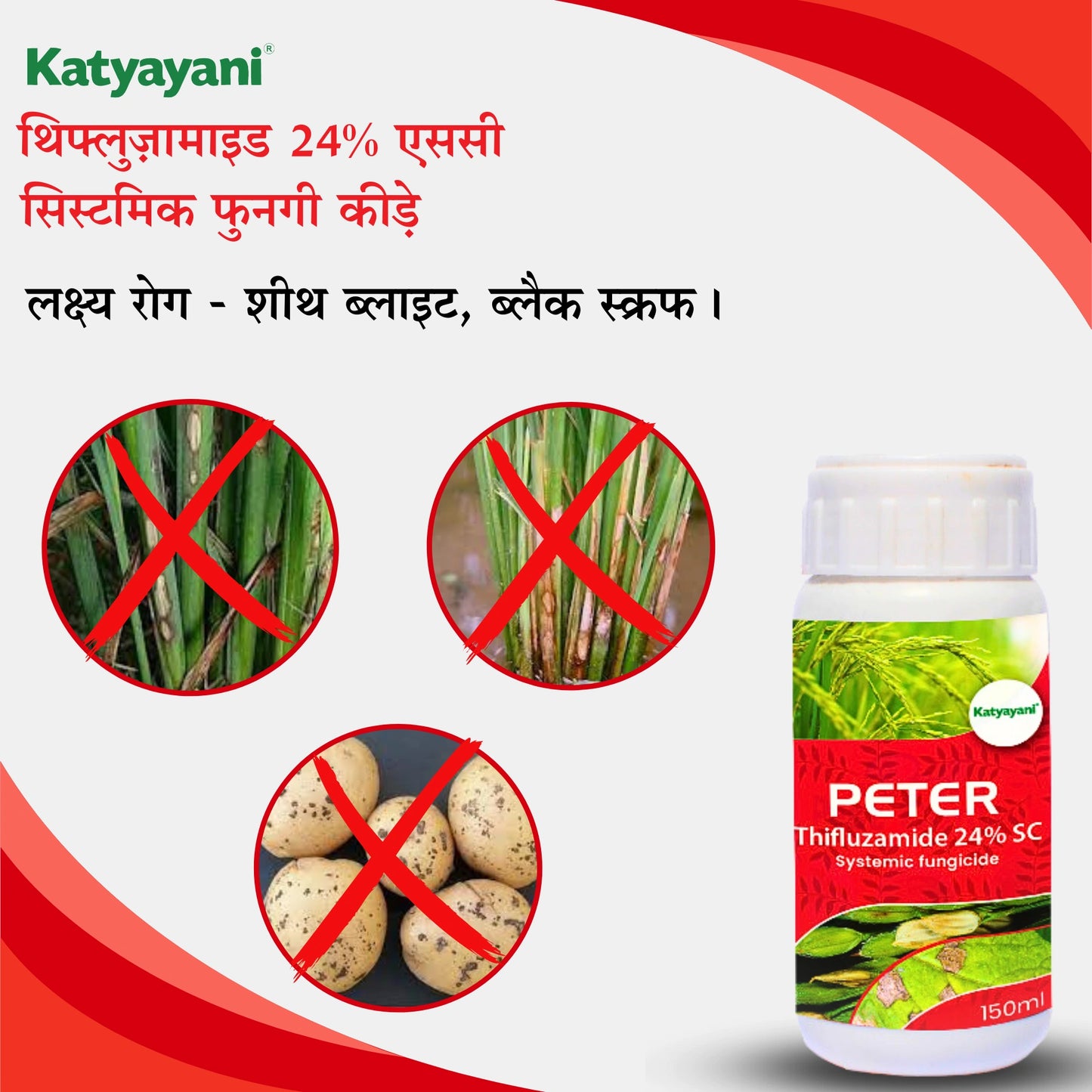 Peter Thifluzamide 24% SC uses in hindi