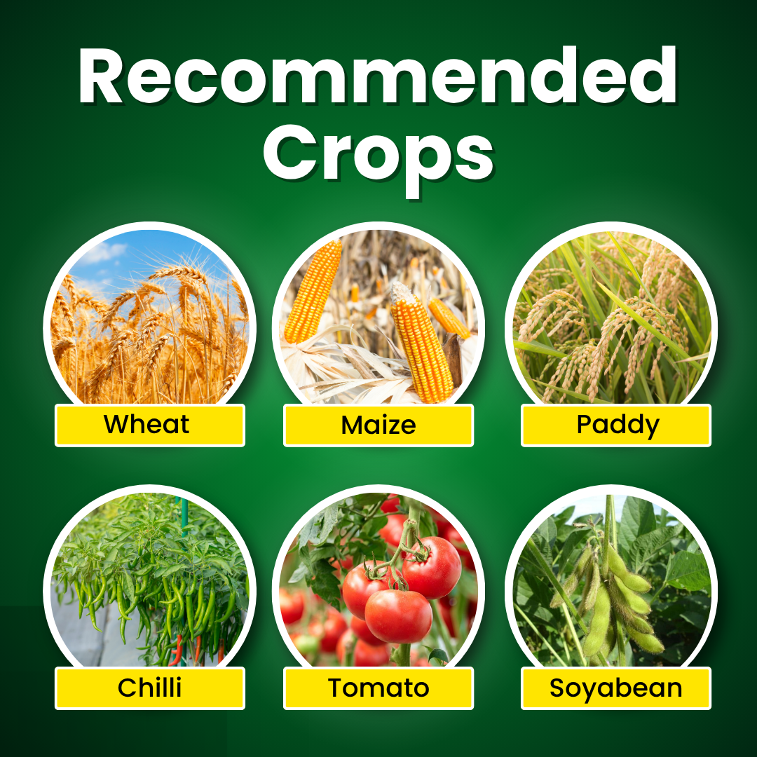 Katyayani Npk 00 00 50 Fertilizer (Potassium sulphate Water Soluble Fertilizer)