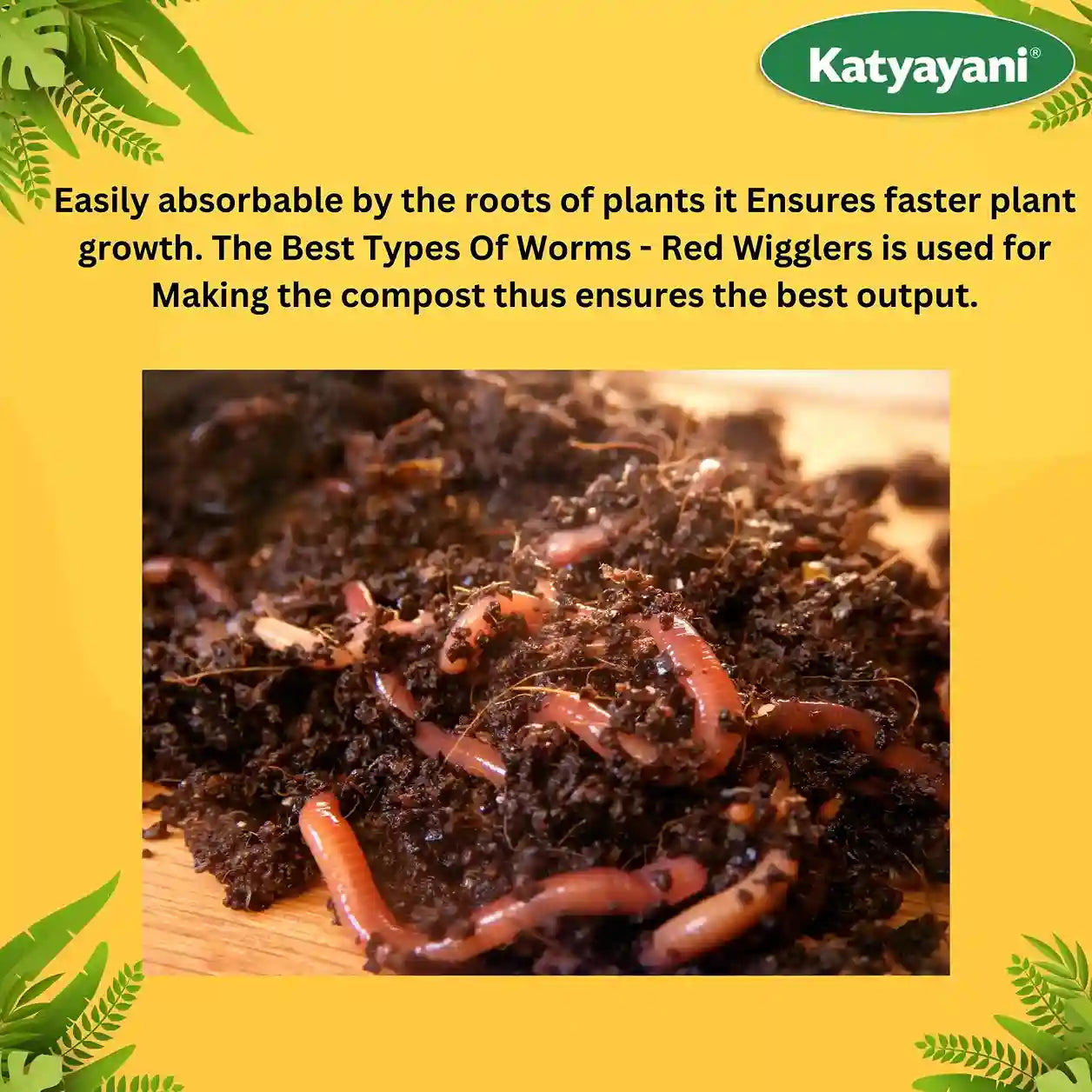 Katyayani Enriched Vermicompost