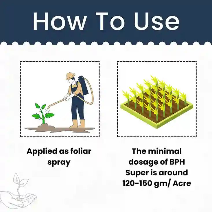 Pymetrozine 50% WG dose per acre