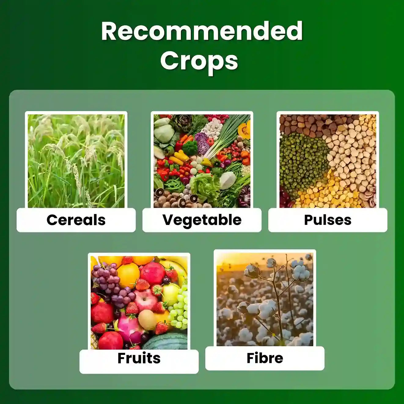 npk 12 61 00 Target Crops