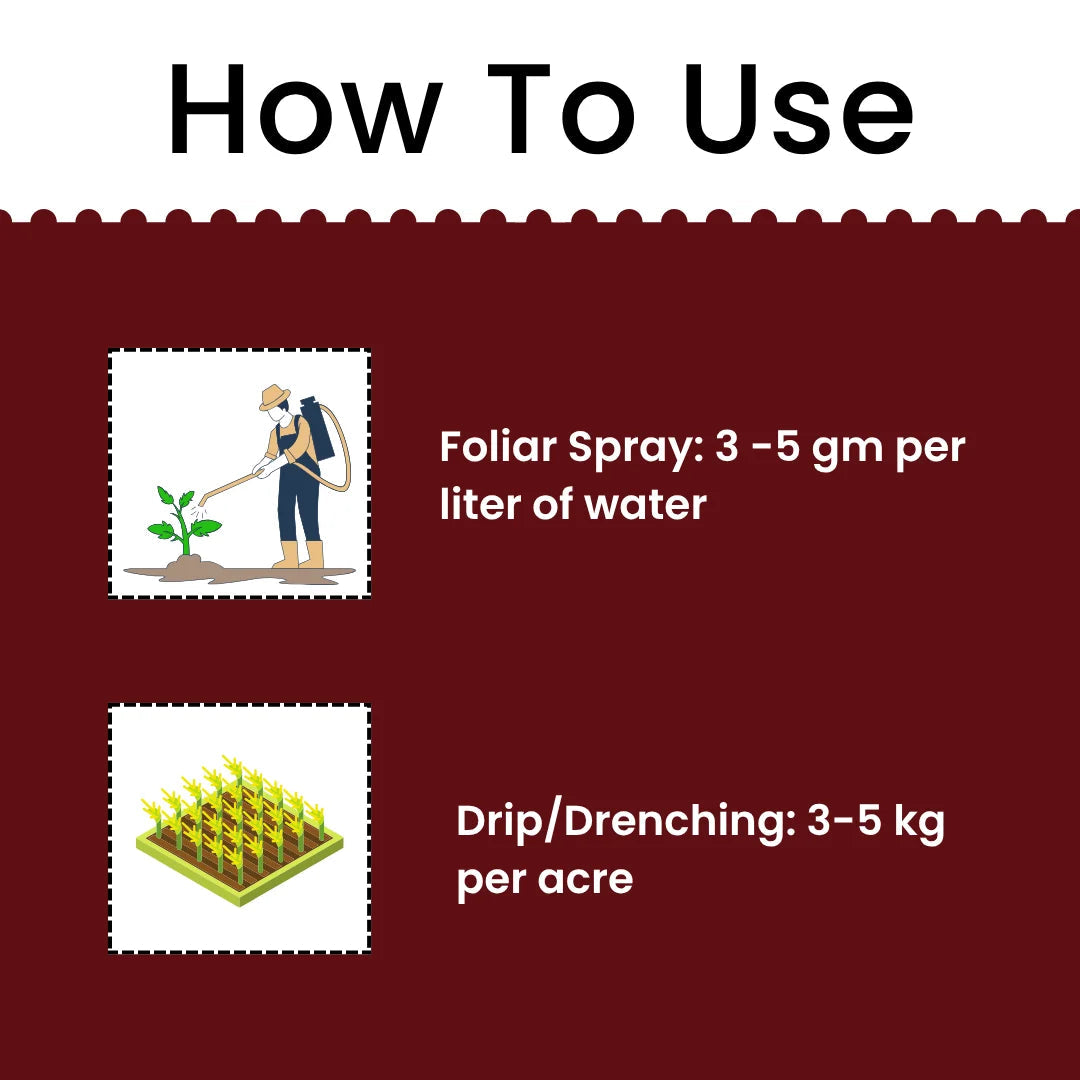 KATYAYANI NPK 00 00 23 FERTILIZER (POTASSIUM SCHOENITE FERTILIZER)