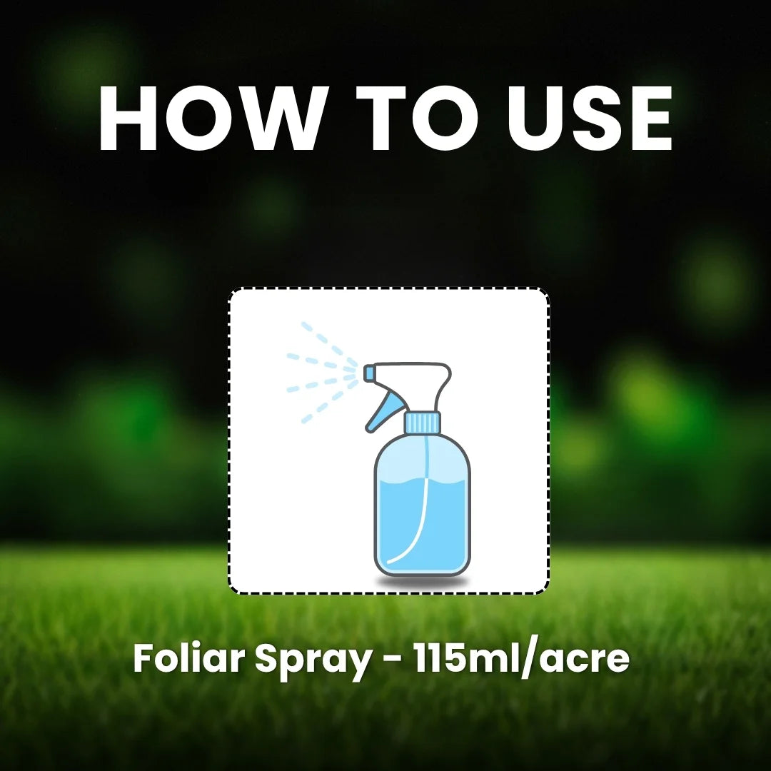 Tembotrione 42% SC (34.4% w/w) dose