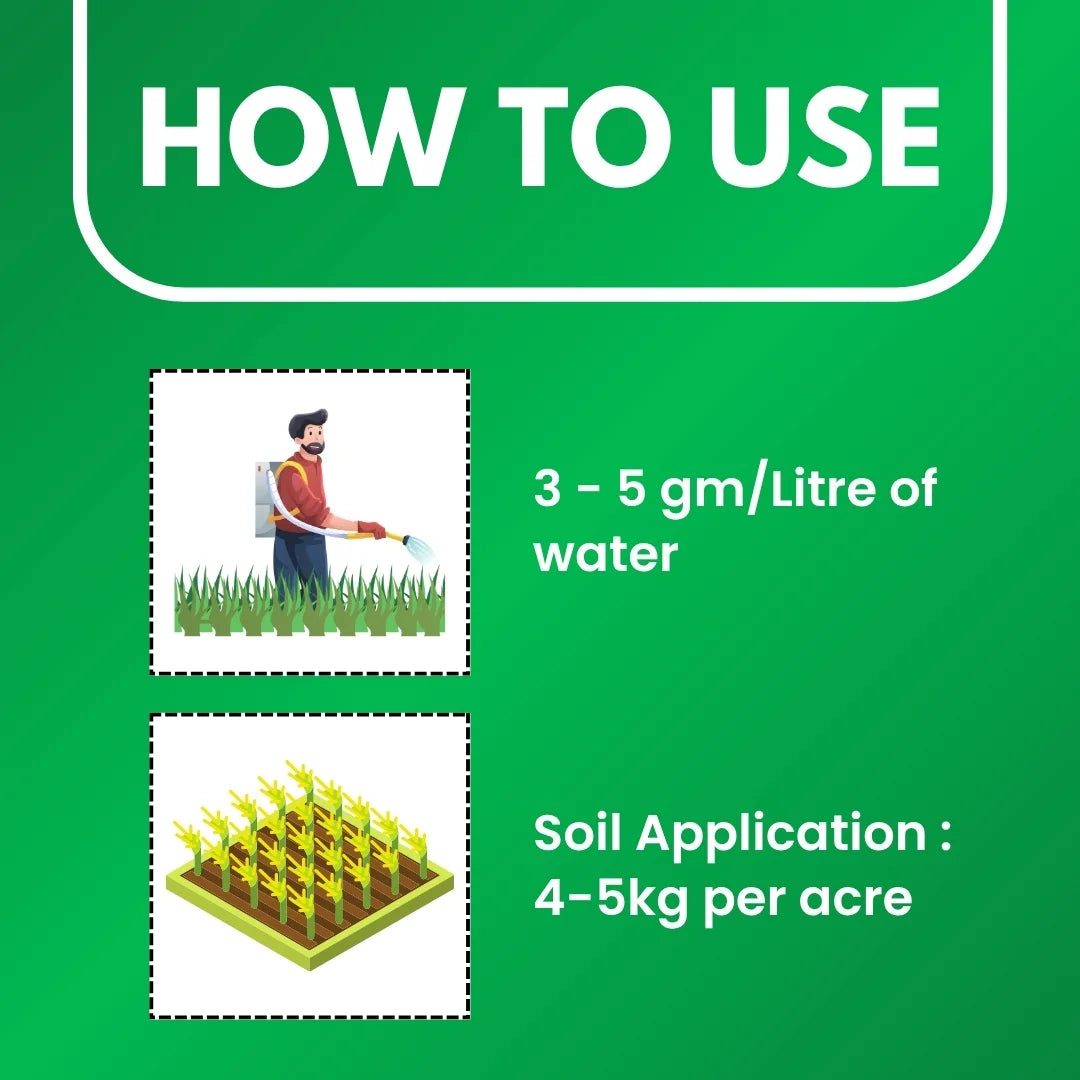 Dosage of katyayai zinc sulphate fertilizer