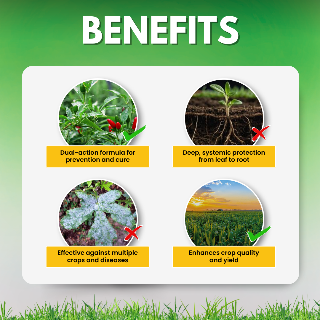 Katyayani PlantoVeer – Tebuconazole 50% + Trifloxystrobin 25% WG Dual-Action Systemic Fungicide