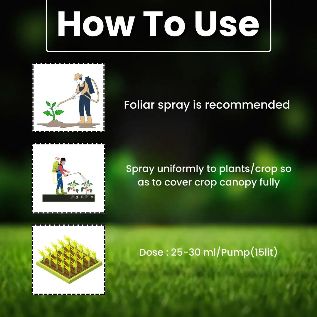 Katyayani Pro Grow (Gibberellic Acid 0.001% l) | Plant Growth Regulator || Dosage