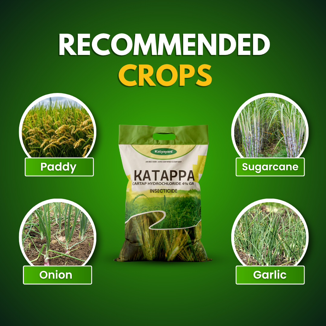 KATYAYANI KATAPPA | CARTAP HYDROCHLORIDE 4% GR | CHEMICAL INSECTICIDE