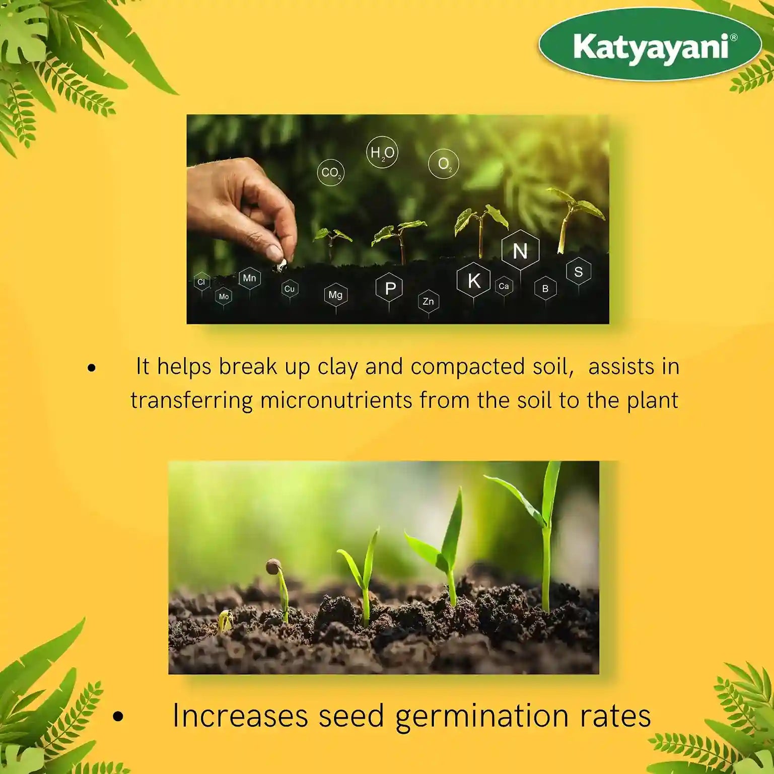 Katyayani Enriched Vermicompost