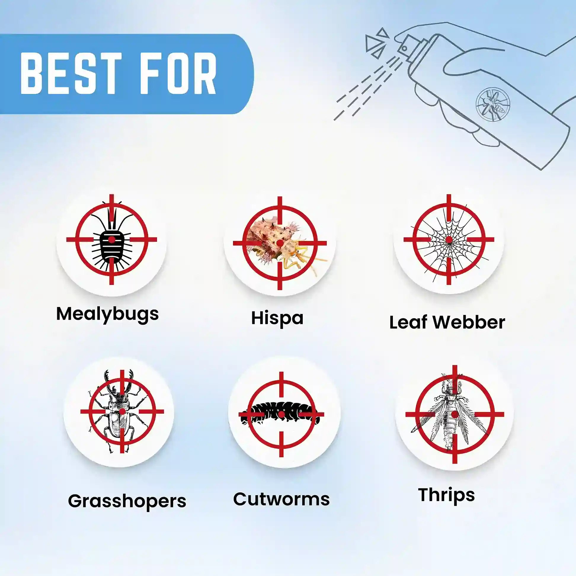 katyayani Chloropyriphos 50 % + cypermethrin 5 % EC - Docter 505 Insecticide best for hispa, mealybugs & More