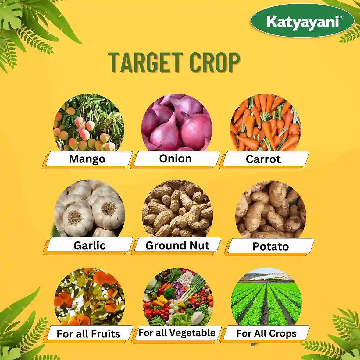 Katyayani Enriched Vermicompost for crops like onion, potato, garlic