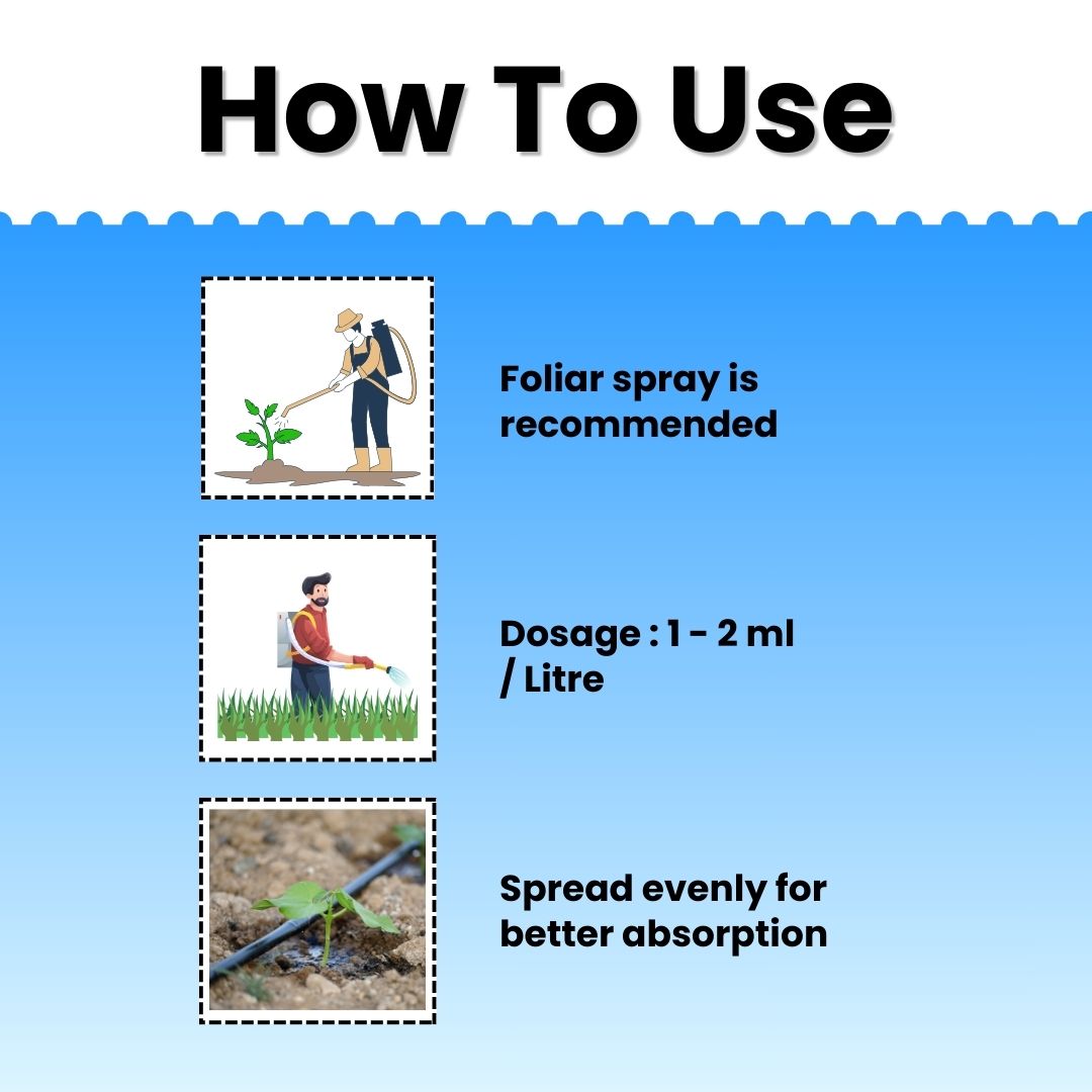 Dosage Application of OSA Fertilizer