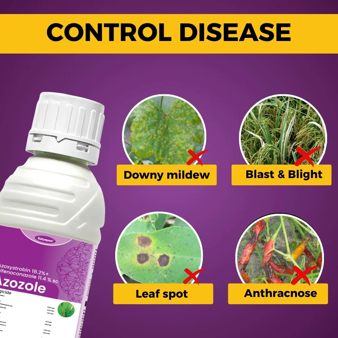 Katyayani Azozole | Azoxystrobin 18.2% + Difenoconazole 11.4% SC | Chemical Fungicide
