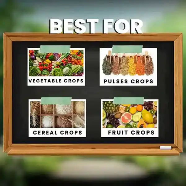 Katyayani All in One Fungicide at Katyayani Krishi Direct