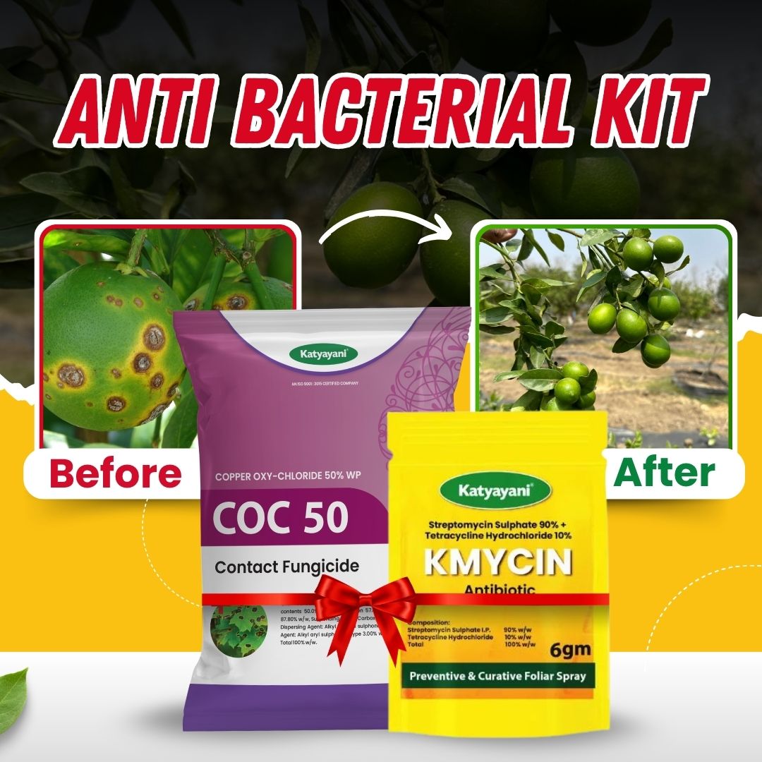 Katyayani Anti Bacterial Kit (KMYCIN (6 GM x 2) + COC 50 (500 GM)