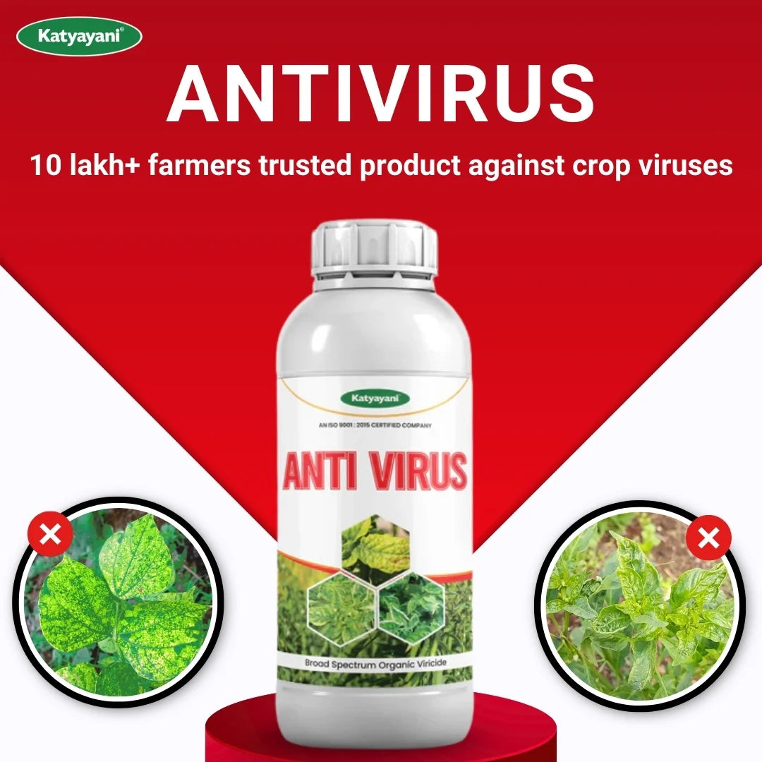 Katyayani Antivirus Viricide | Special for Chilli, Tomato & Brinjal | No Virus Insecticide