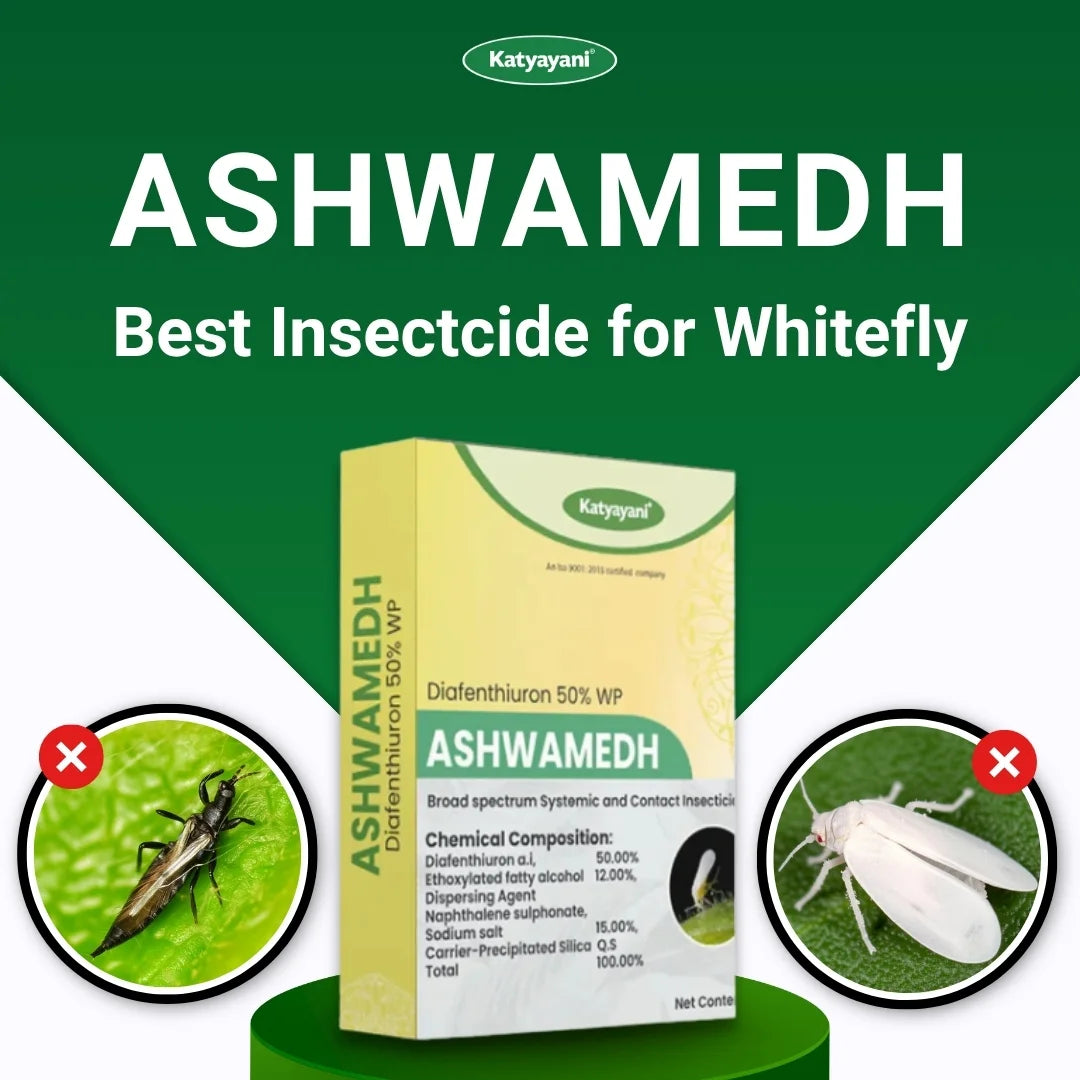 Katyayani Ashwamedh | Diafenthiuron 50% WP | Chemical Insecticide
